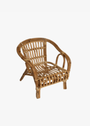 Woo dridge Wood Back Arm Chair